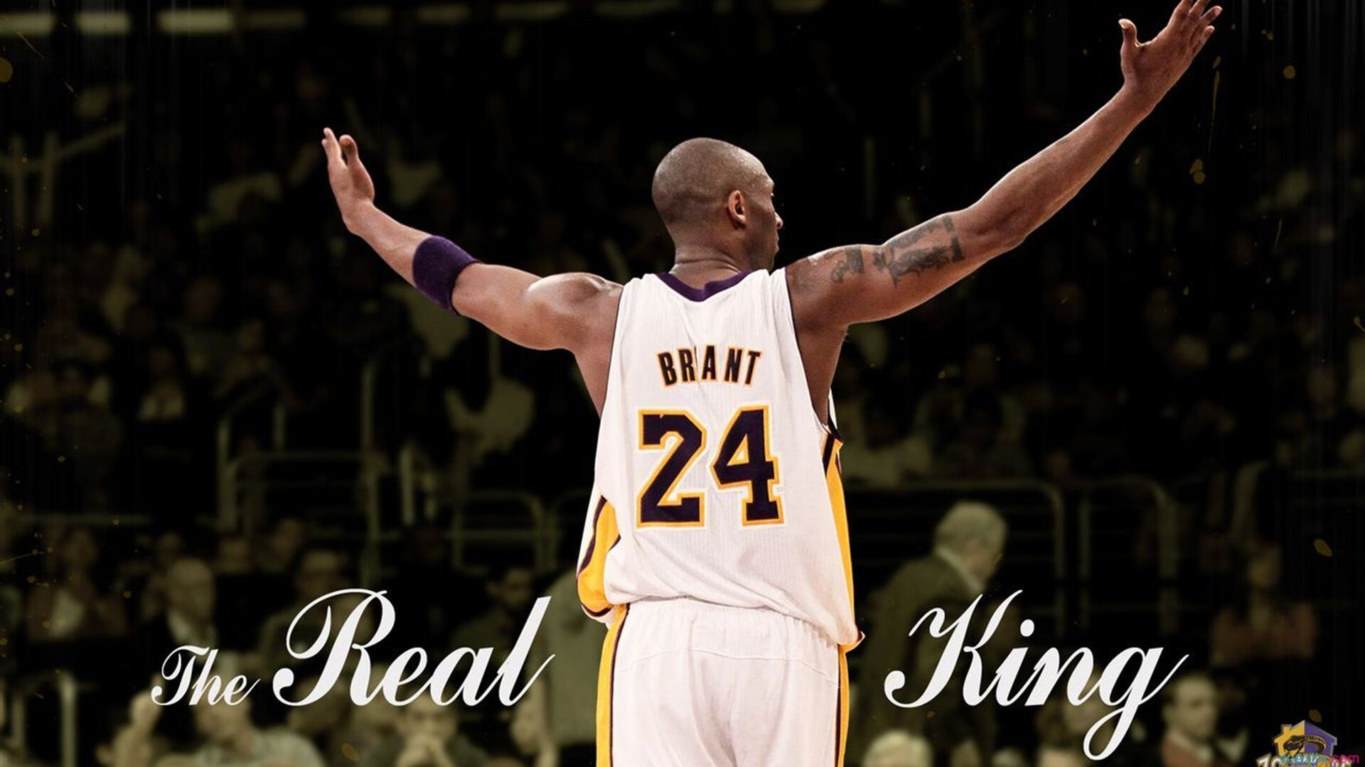 图卢兹前场抢断转化为有效攻势，图卢兹insa